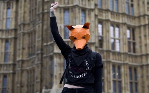 Thumbnail image for Outfoxed by Scots, UK government forced to shelve move to relax hunt ban