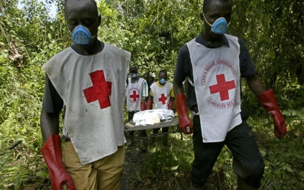 Red Cross warns against false use of its emblem in Cameroon