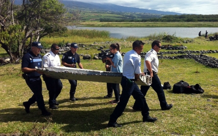 Plane debris sparks MH370 speculation