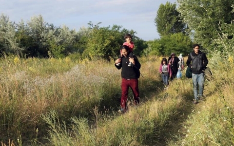 Thumbnail image for Facing record migrant flows, Hungary tightens asylum system