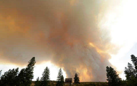 Thumbnail image for Washington wildfire kills three firefighters