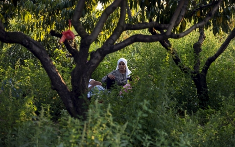 Thumbnail image for Europe asylum summit overshadowed as refugee bodies found in nearby truck