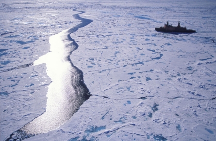 America’s Arctic blunder 