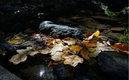 Obama vetoes bill killing smaller stream regulation