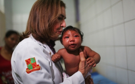 Brazil ‘losing the battle’ against mosquitoes, says health minister