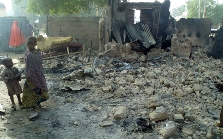 Boko Haram in Nigeria kills at least 86, burns children 