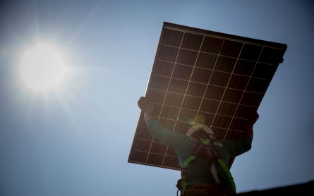 North Carolina coalition presses schools to go solar