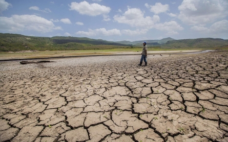 Seared by climate change, Nicaragua’s small farmers face food crisis