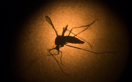 Brazil confirms Zika infection from a blood transfusion