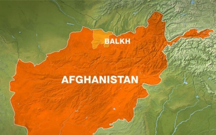 Three Afghan soldiers killed in suicide bombing