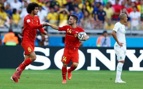 marouane fellaini dries mehrtens belgium