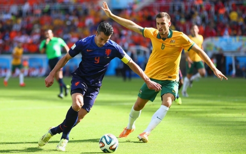 robin van persie netherlands