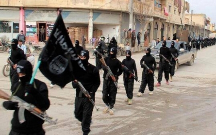 ISIL 'caliphate' shrank by 14 percent in 2015: monitor