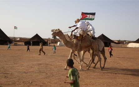 Western Sahara's struggle for freedom cut off by a wall