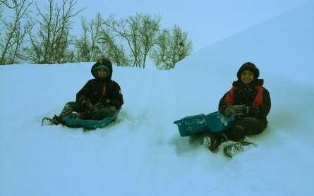 Refugees in the Arctic 