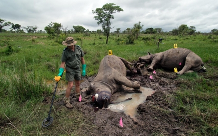 The human victims in the fight over rhino poaching in Africa