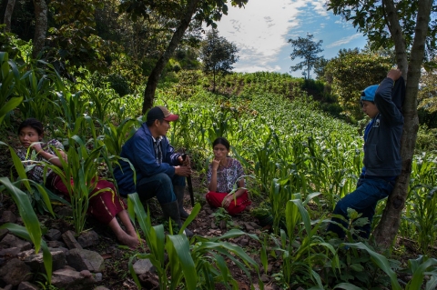 Guatemala