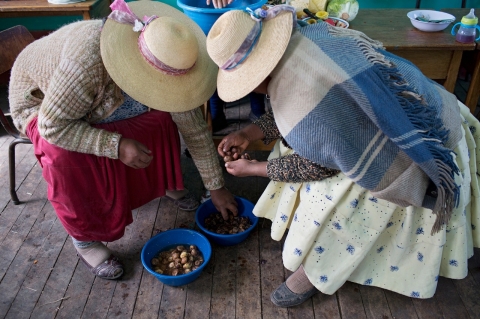 Peru