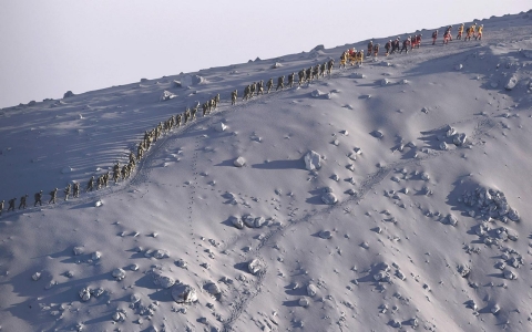 Thumbnail image for Photos: Search for victims after volcano explodes in Japan 