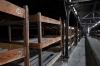 Auschwitz liberation concentration camp