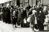 Auschwitz liberation concentration camp