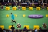 Westminster Kennel Club Dog Show