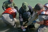 Hatchery, Elwha River