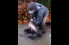 Hatchery, Elwha River