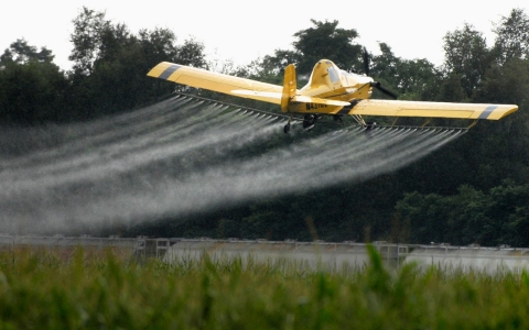 Thumbnail image for Agent Orange from farm to table 