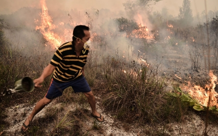 Blame Western companies for Southeast Asia’s toxic haze