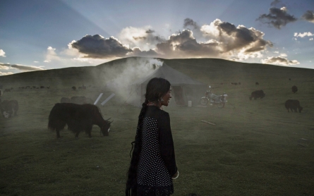 Tibet is the canary in the coal mine