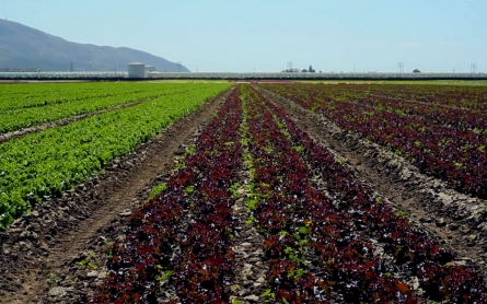 The Central Valley towns hit hardest by California drought