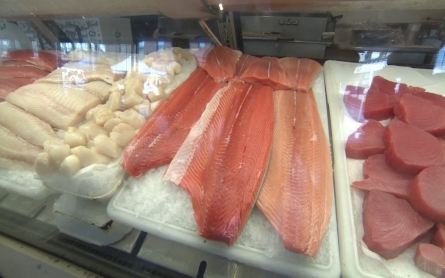 FDA approves genetically engineered salmon 