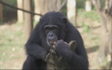 Tourist attractions in Sierra Leone reopen after Ebola scare