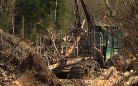 Thumbnail image for A look back one year after the devastating mudslide in Oslo