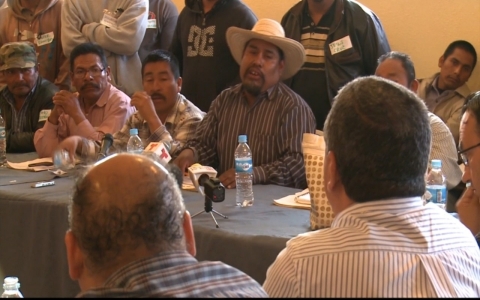 Thumbnail image for Negotiations stall between farmworkers and growers in Mexico