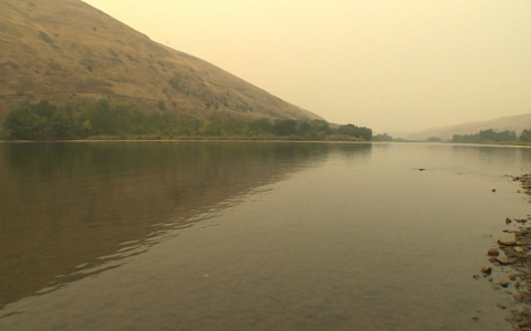 Thumbnail image for Sockeye salmon in Idaho becoming endangered