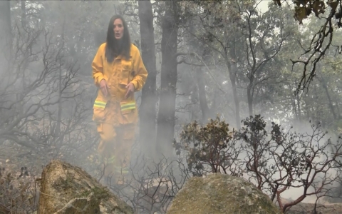 Thumbnail image for Western wildfires an ‘unprecedented cataclysm’