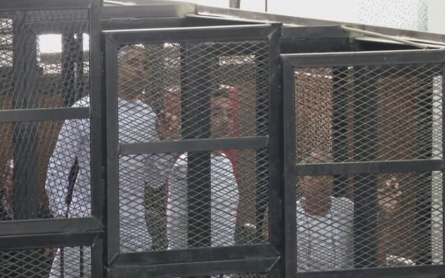 Al Jazeera journalists freed in Egypt