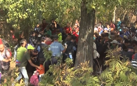 Thumbnail image for Chaos in Croatia as refugees break police line at border