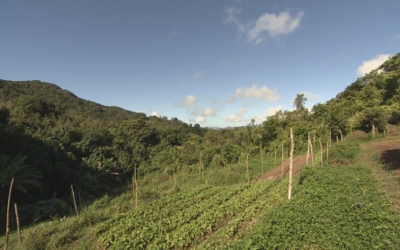 Economic crisis threatens food supply in Puerto Rico