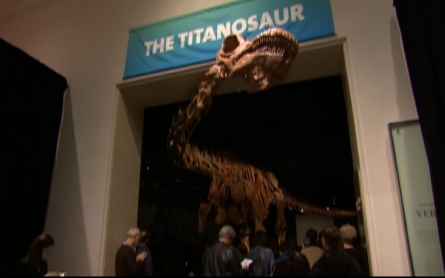 Titanosaur unveiled in New York City