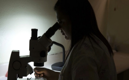 First annual International Day of Women and Girls in Science celebrated