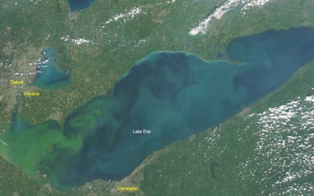 Potentially toxic algae growing in Lake Erie