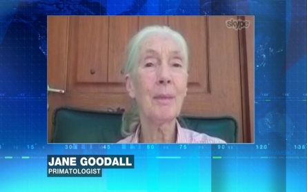 Women and science: A conversation with Jane Goodall