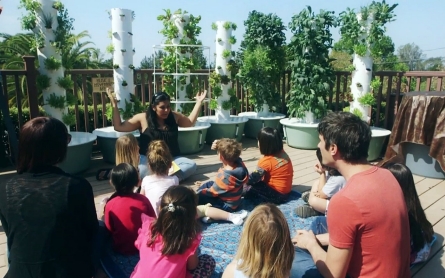 Vertical, aeroponic farming gives soil a run for its money