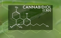 Need to know: The science behind medical marijuana