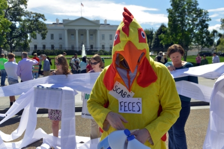 The Politics of Poultry